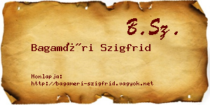 Bagaméri Szigfrid névjegykártya